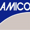 AMICO Group