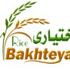 Bakhteyare company